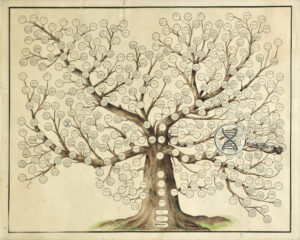 Decorative family tree illustration paired with a magnifying glass hovering over a DNA helix strand symbol, representing genetic genealogy investigation.