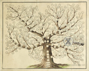 Decorative family tree illustration paired with a magnifying glass hovering over a DNA helix strand symbol, representing genetic genealogy investigation